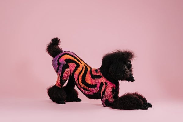 Rebecca Lancaster — Creative Grooming
